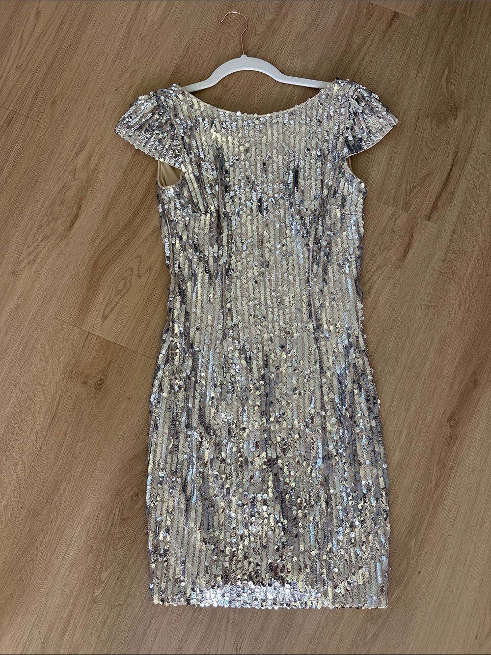 Minuet Petite Silver Sequin Cap-Sleeve Mini Dress